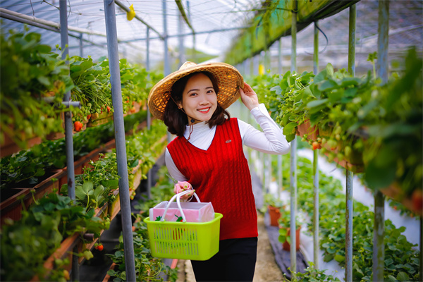市场风险偏好改善 美元指数24日明显下跌